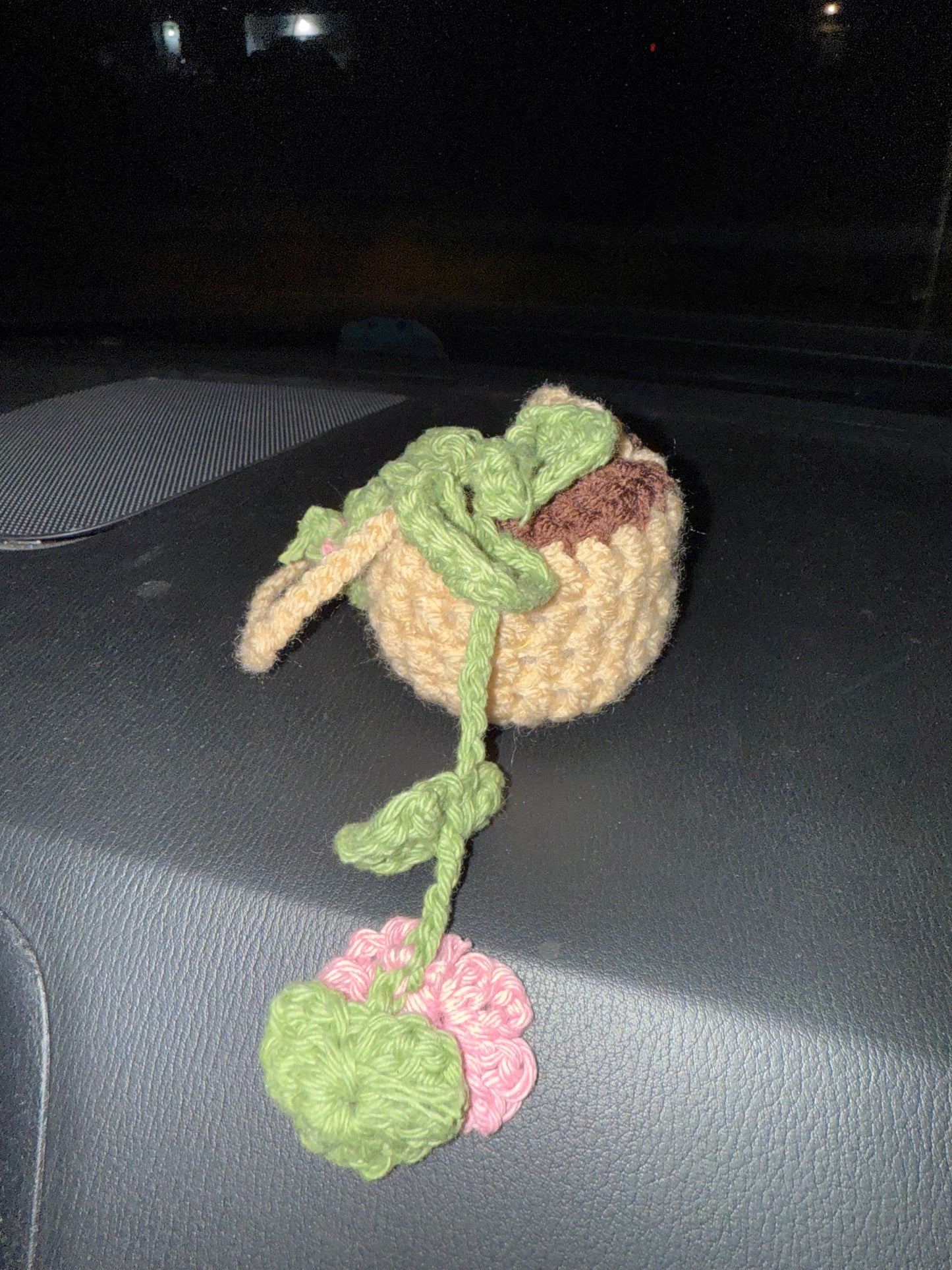 Car hanger