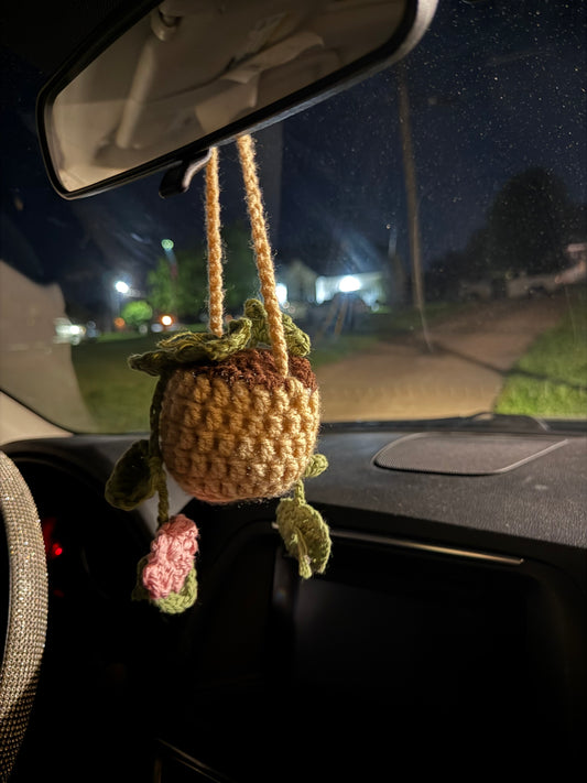 Crochet Car Planter (Mirror Decor)